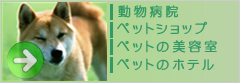 岡崎市の動物病院・ペットショップ・ペットの美容室・ペットのホテル